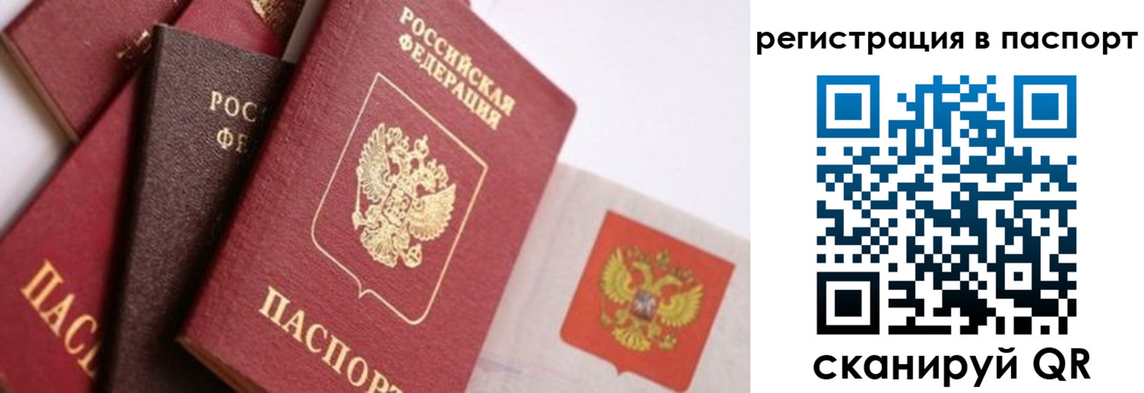 прописка в квартире в Сегеже